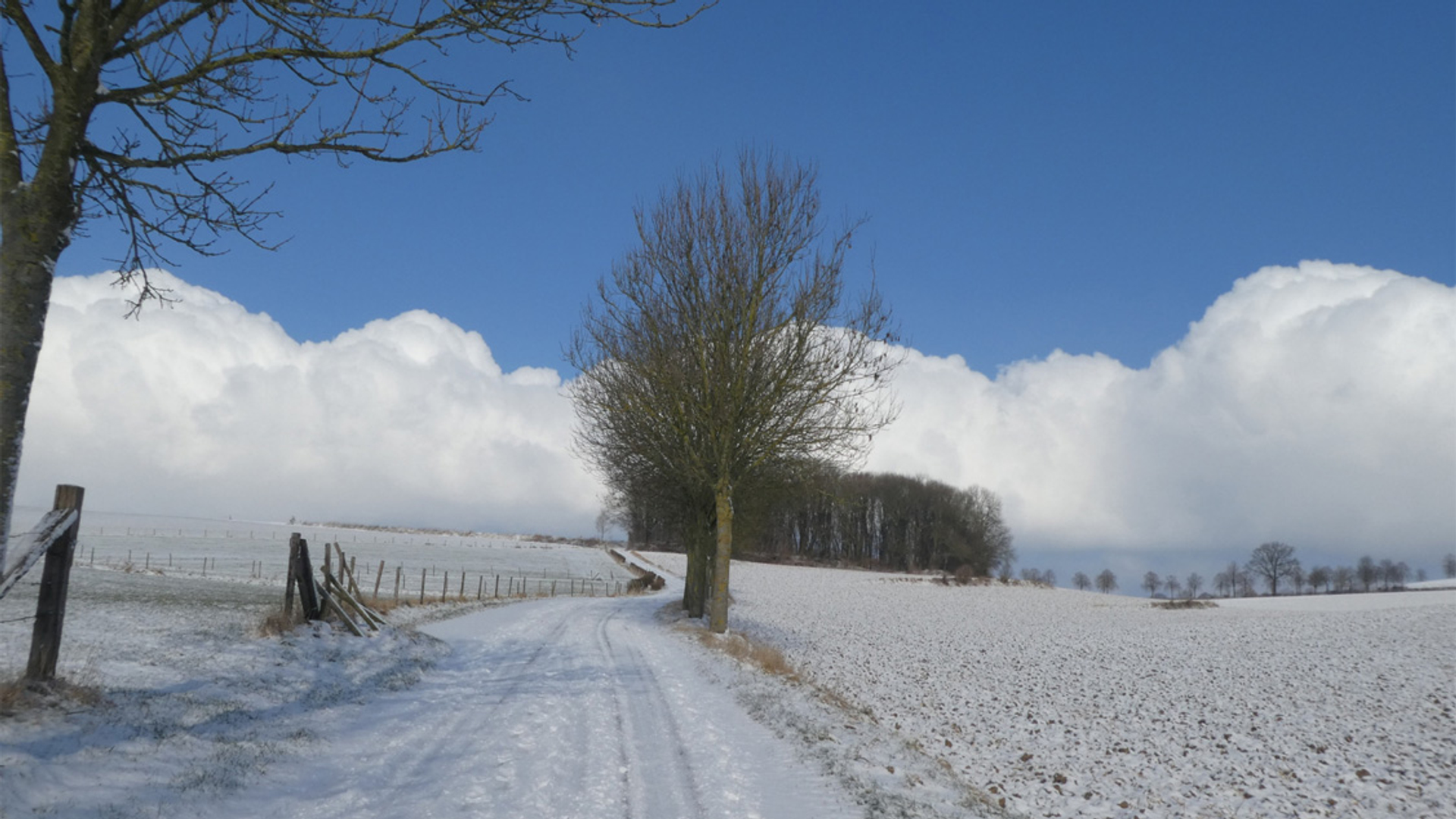sneeuwlandschap