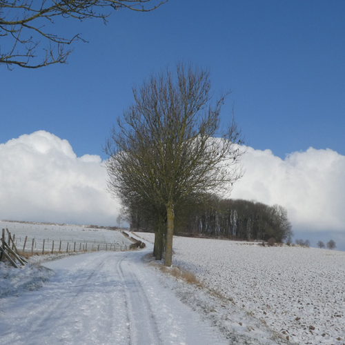 Nostalgie naar koude winters met sneeuw en ijs