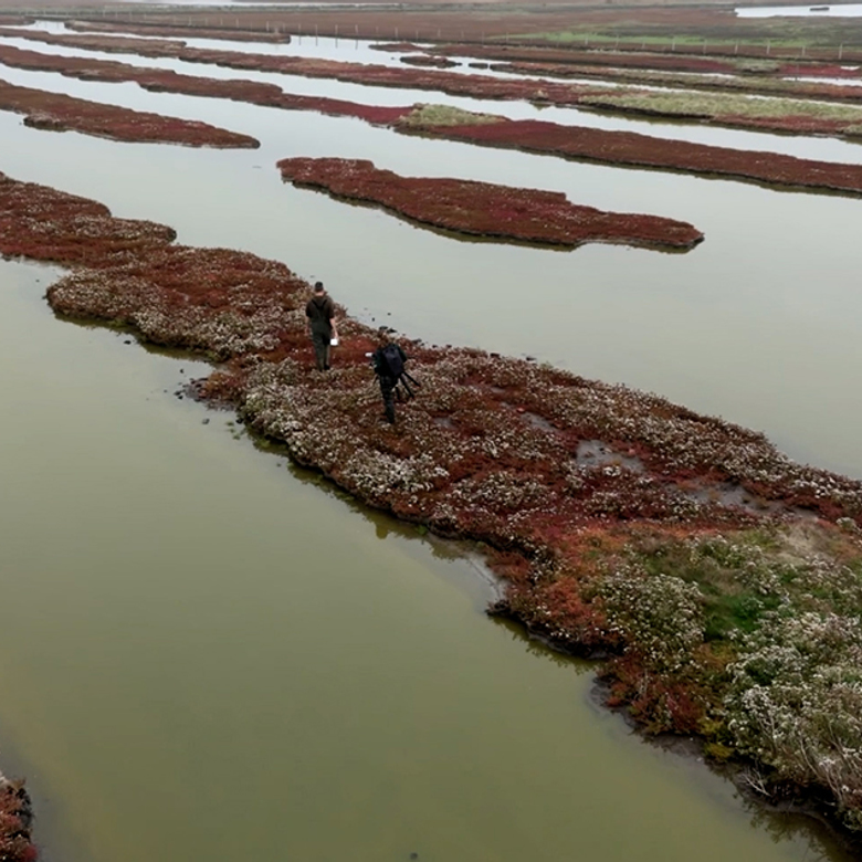 Afbeelding van Vroege Vogels TV | 16 november 2025 | Zuidkust van Schouwen