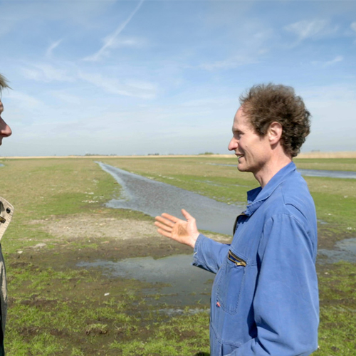 Afbeelding van Boer Durk houdt koeien en weidevogels
