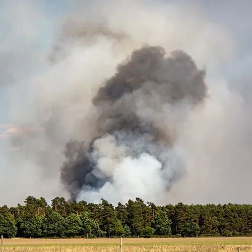 Afbeelding van Marechaussee onderzoekt natuurbranden op militaire oefenterreinen