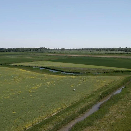 Afbeelding van Dezelfde opbrengst zonder pesticiden