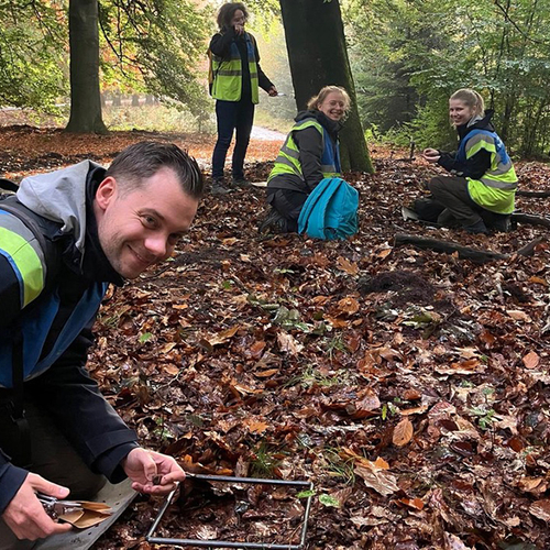 Vijftig jaar beukennootjes tellen op de Hoge Veluwe