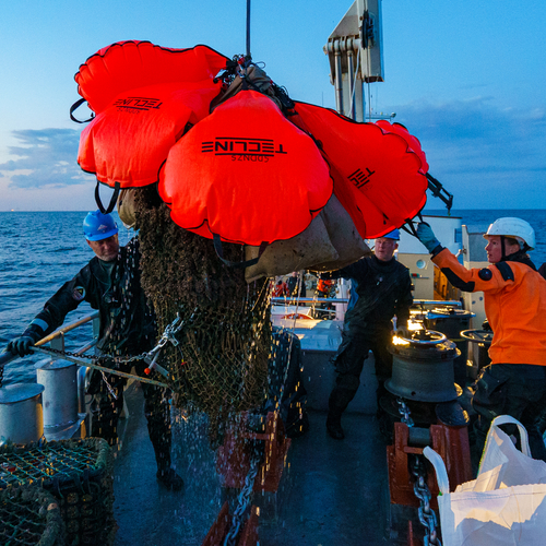 Afbeelding van Duikers halen 2,5 ton aan visnet boven water in Noordzee