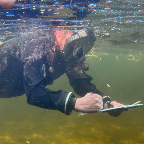 Tekenen onder water + filmpje