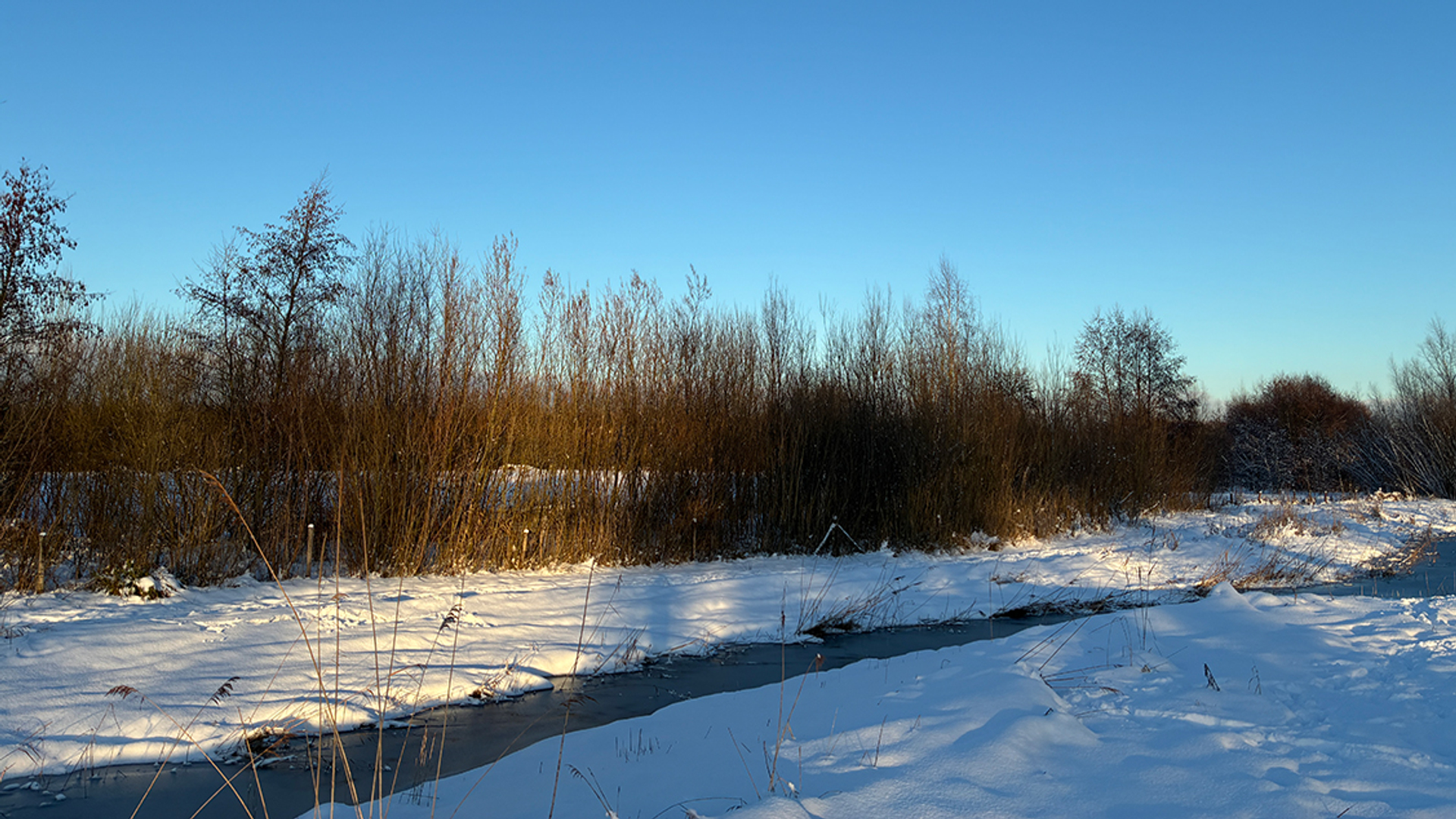 Natuurgebied-bij-Bunnik---foto-Utrechts-Landschap
