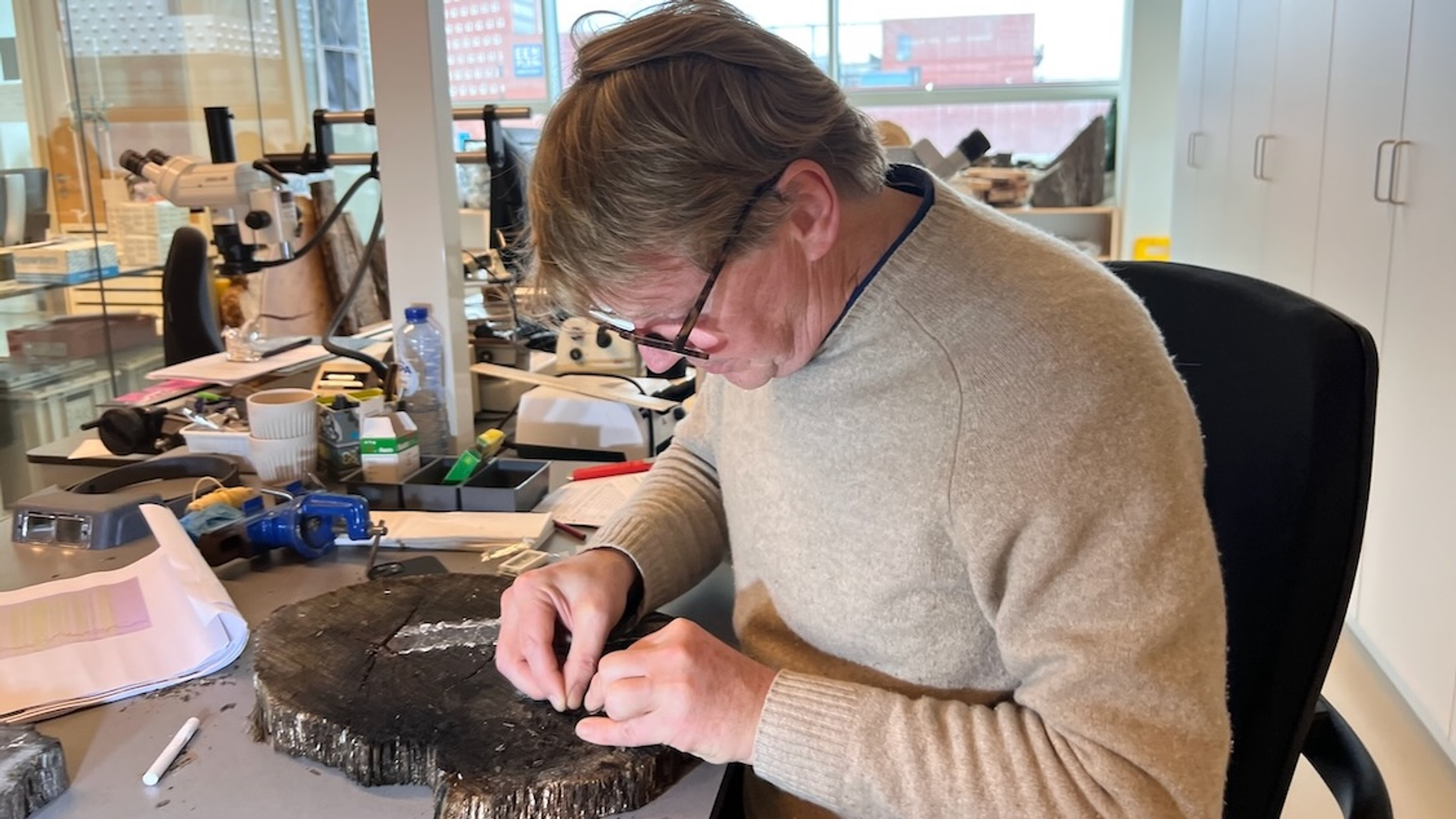 Jos Bazelmans oerbosonderzoek