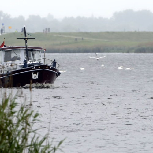 Vogels en varen, gaat dat samen?