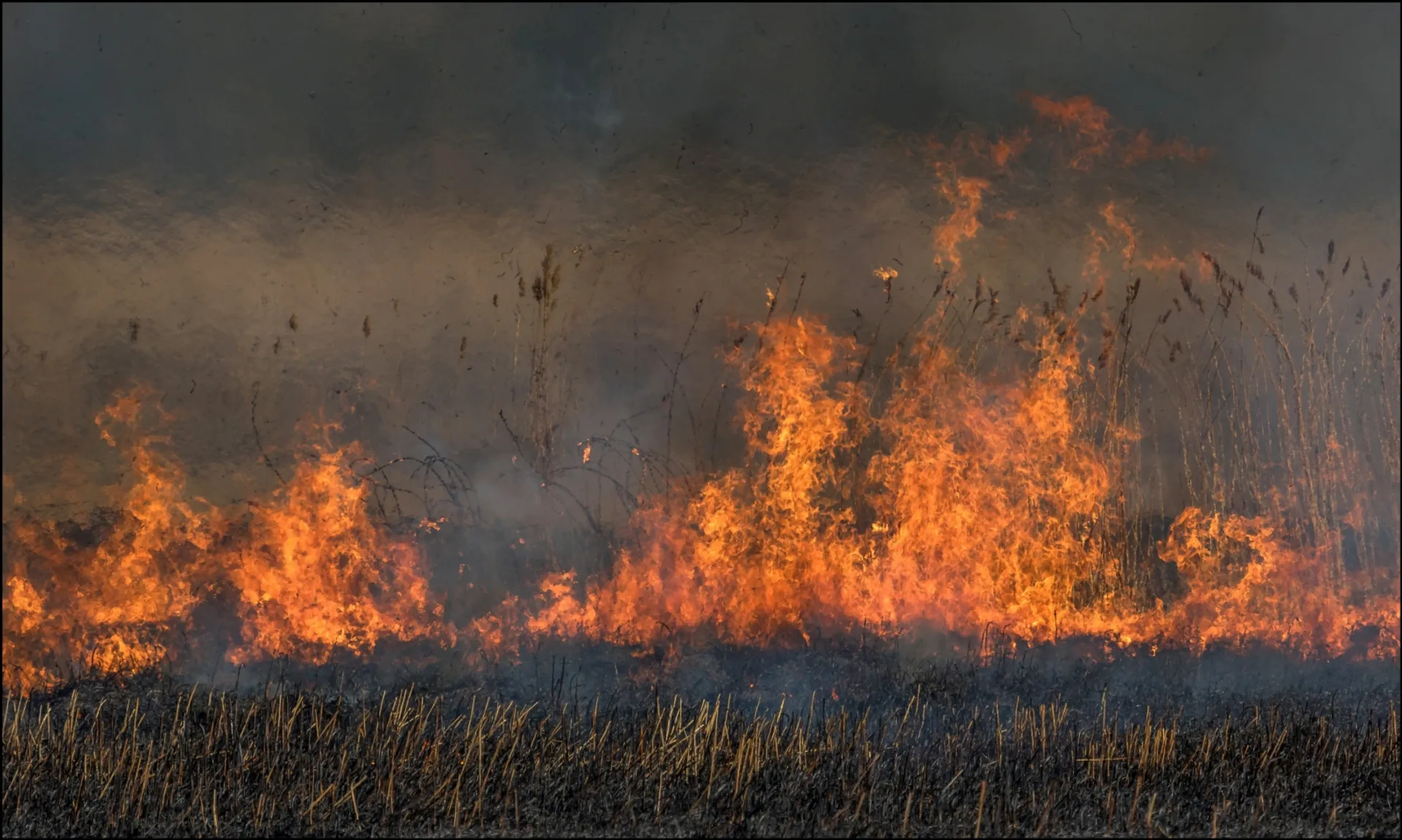 Nieuw blusmiddel in de strijd tegen natuurbranden