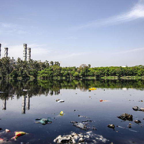 Hoop in tijden van ecocide