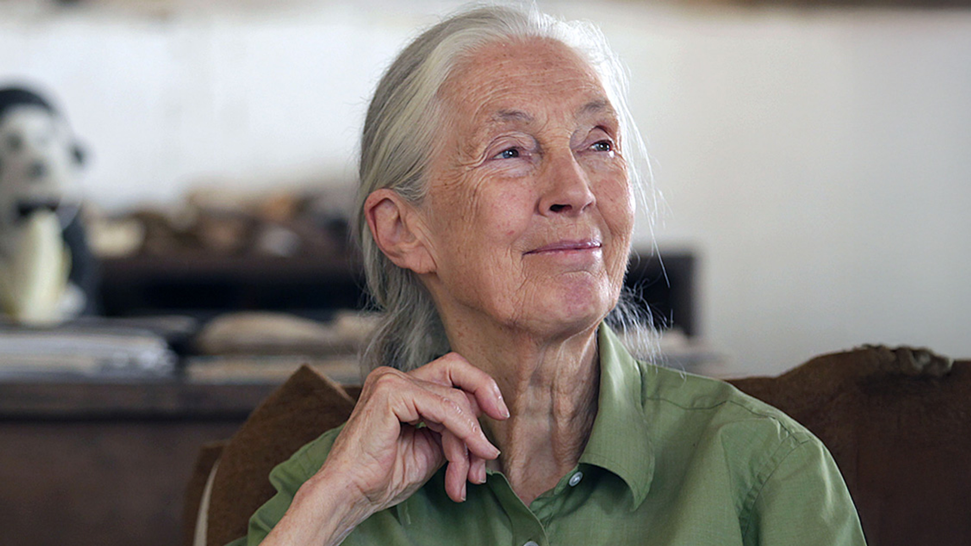 Jane goodall