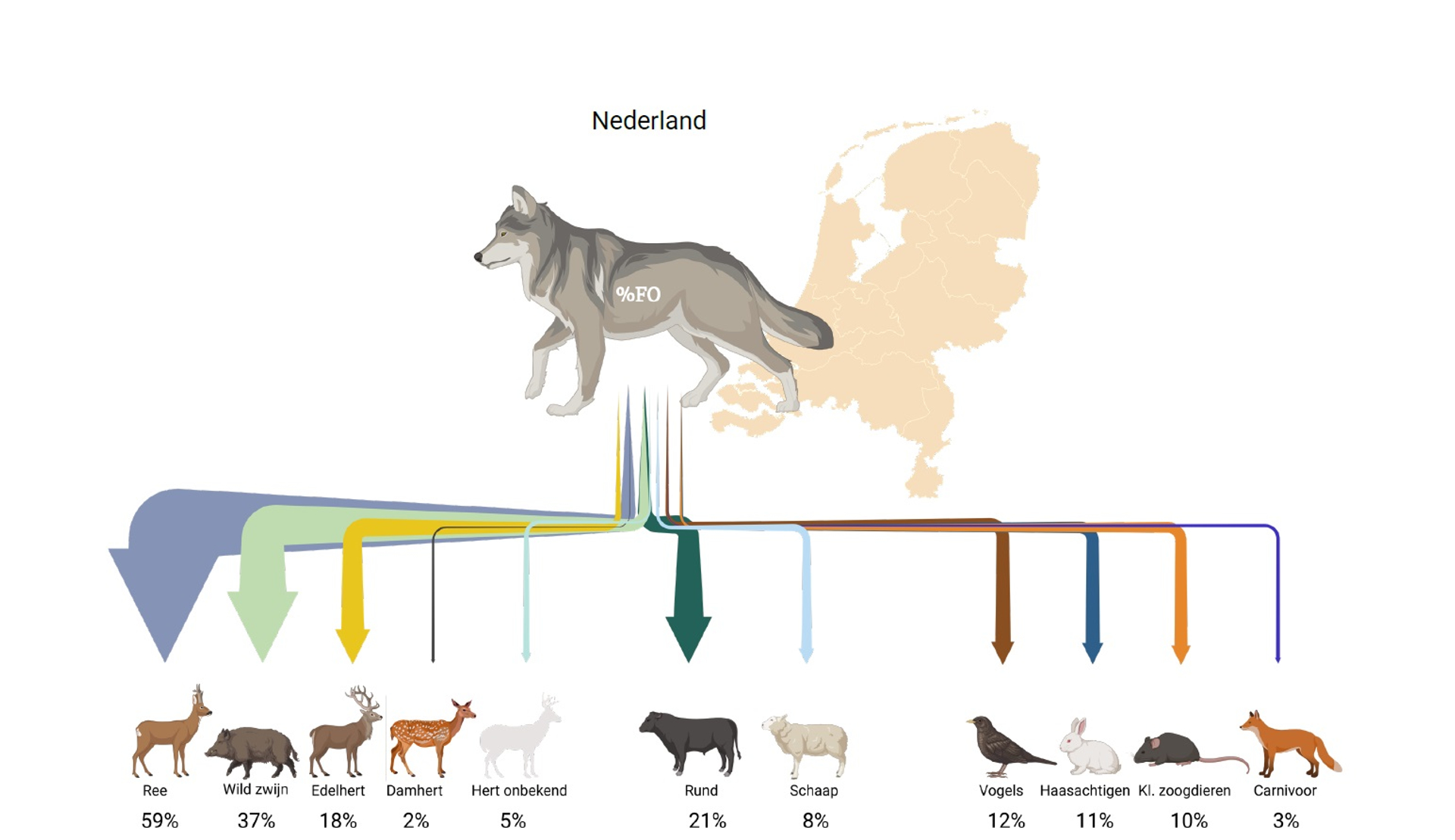 NIET HERGEBRUIKEN - onderzoek naar dieet wolf