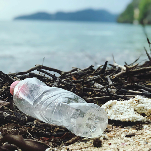 Afbeelding van Kamer wil dat schadelijke vuilstort Bonaire sluit