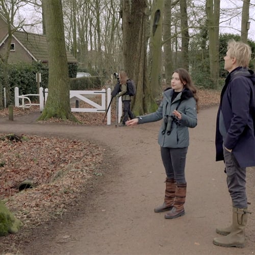 Afbeelding van Bijzondere vogelsoorten in Park Schothorst te Amersfoort