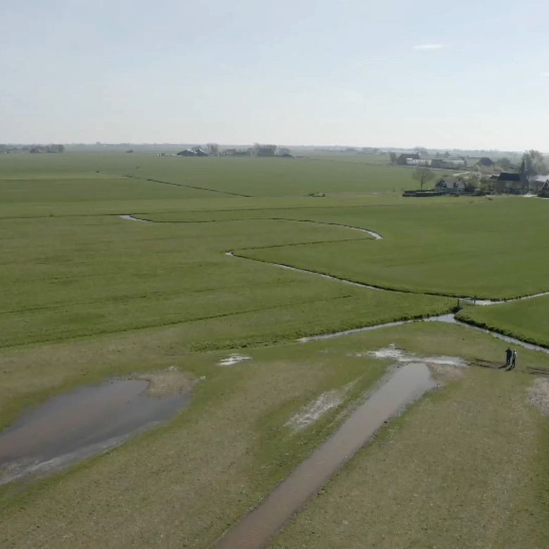 Afbeelding van Vroege Vogels TV | 1 juni 2025 | Sandfirden