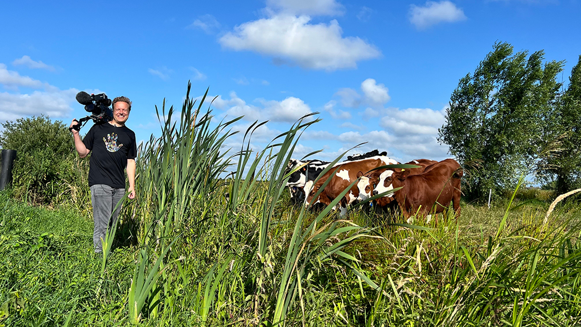 Op pad met Menno Bentveld: Koeien. Wei. Natuur.
