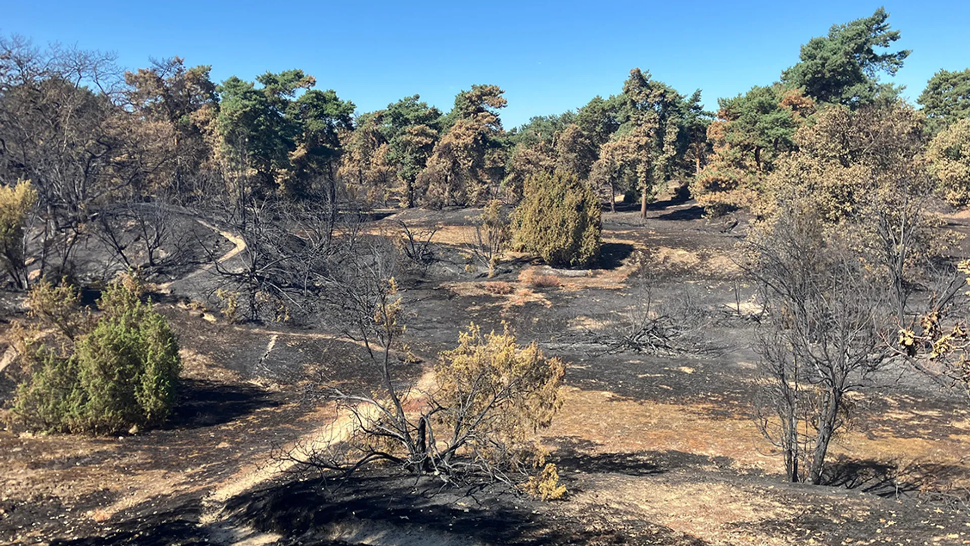 Boshuizerbergen_brand_RobinCoenen_10