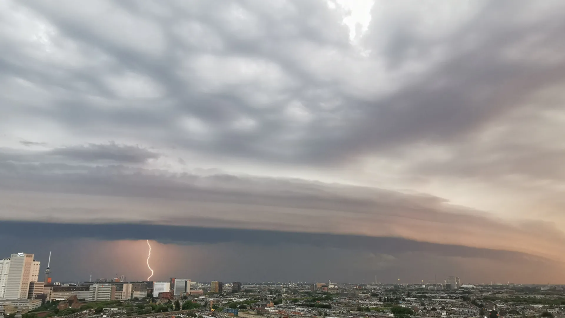 Shelfcloud