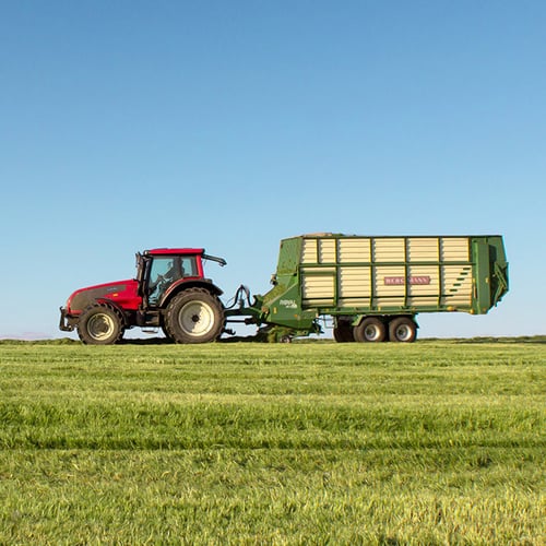 Afbeelding van Veel overtredingen met bestrijdingsmiddelen bij scholen en natuur
