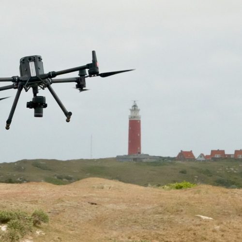 Drones, eikenzandbij, ambachtsdagen en alle overige items