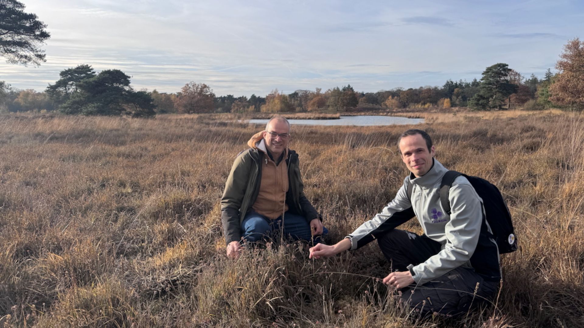 Waterplanten en Waterkwaliteit
