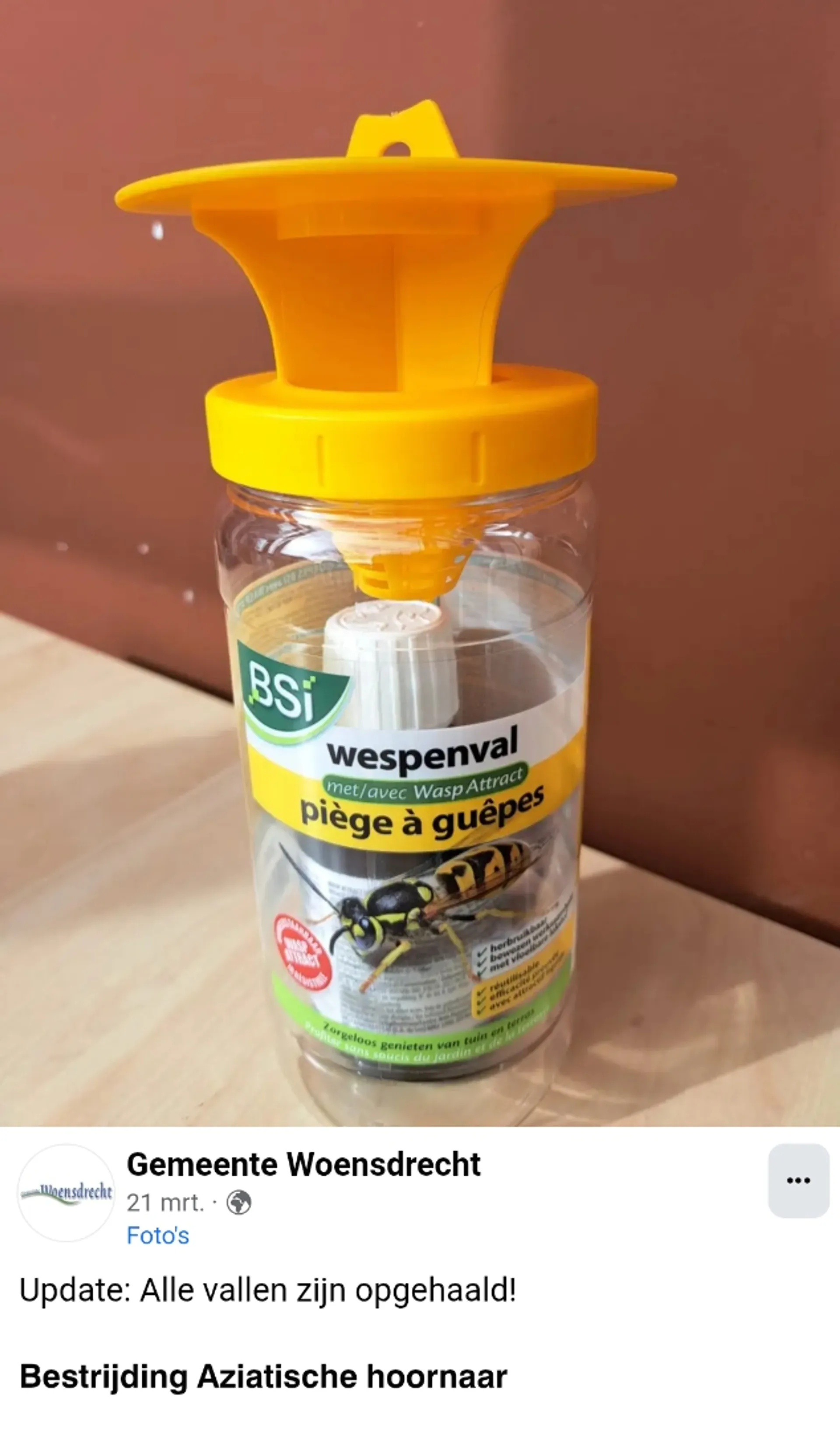 wespenval woensdrecht