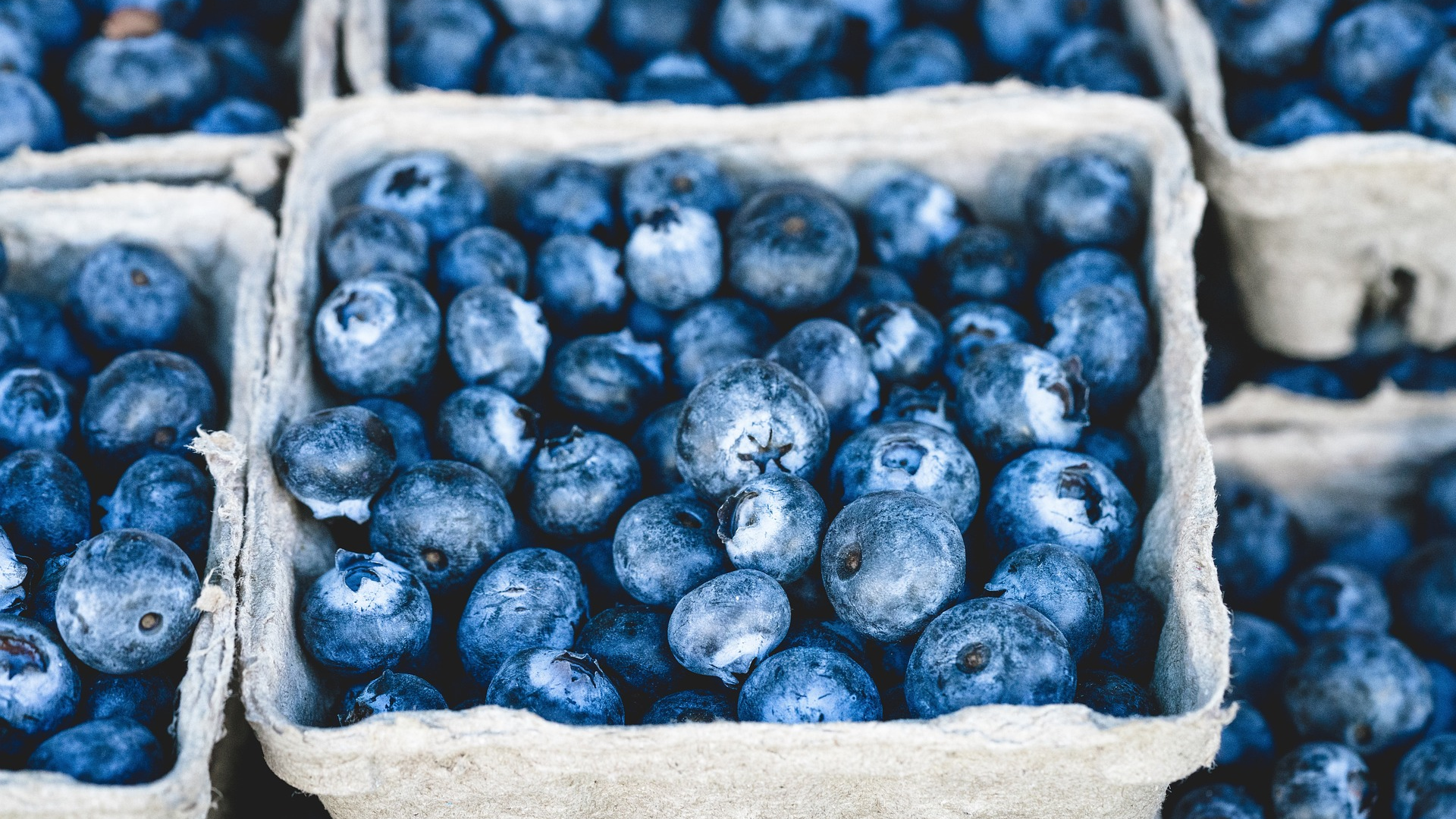 blauwe bessen