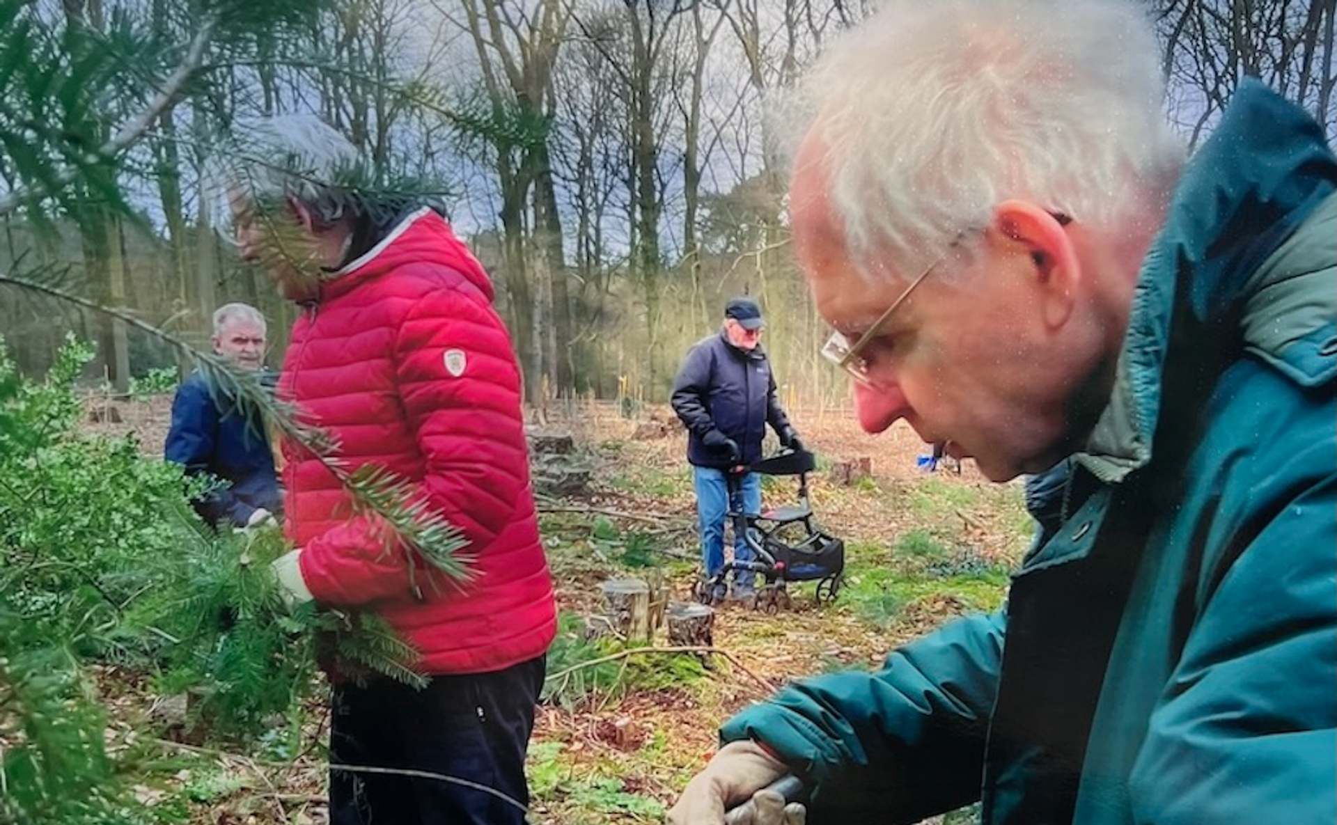 Afbeelding van Mensen met dementie doen klusjes in de natuur