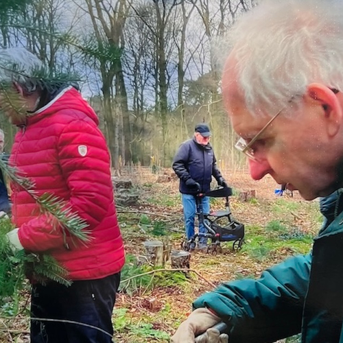 Mensen met dementie doen klusjes in de natuur