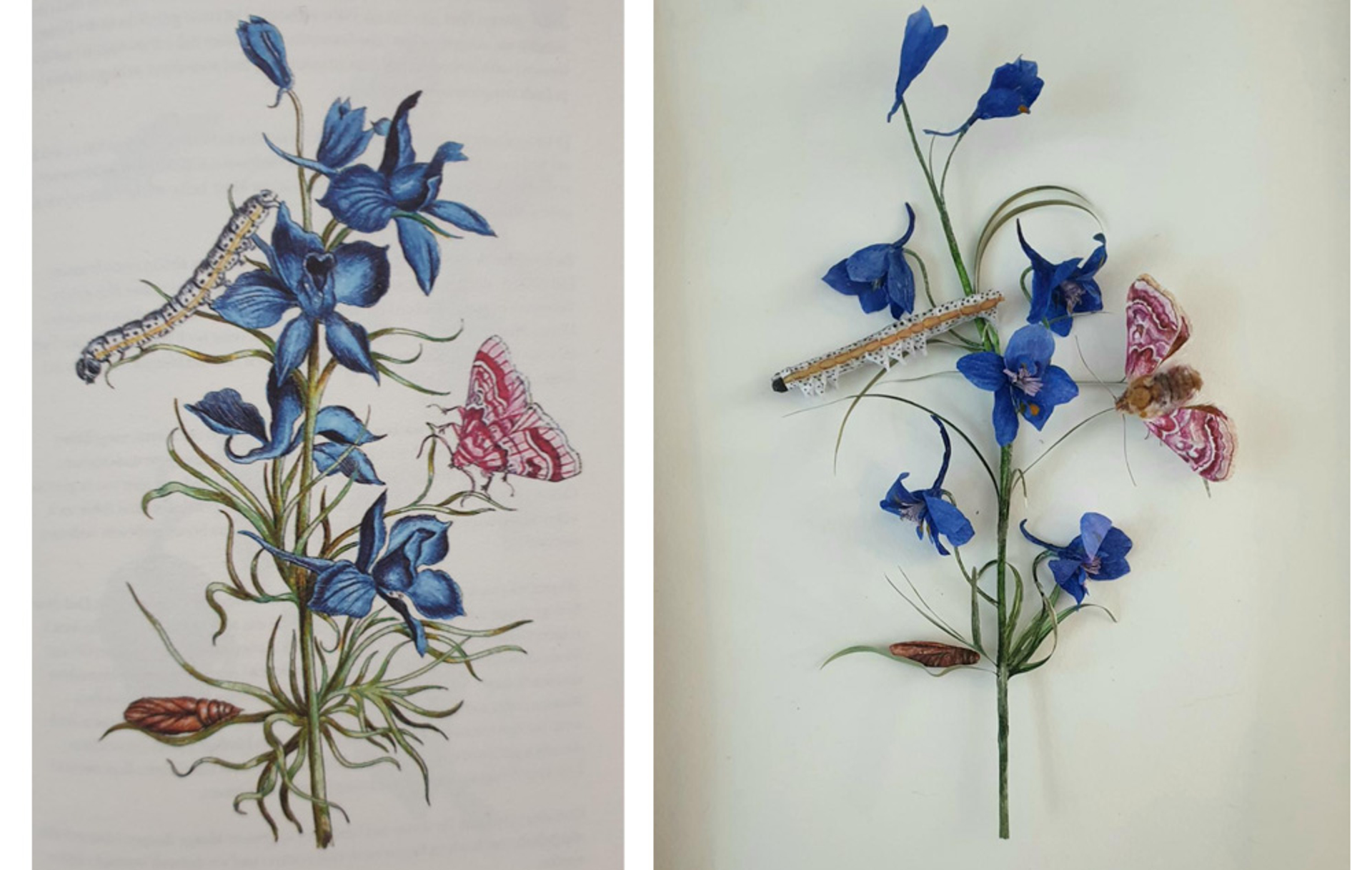 kunst Nathalie Wijker