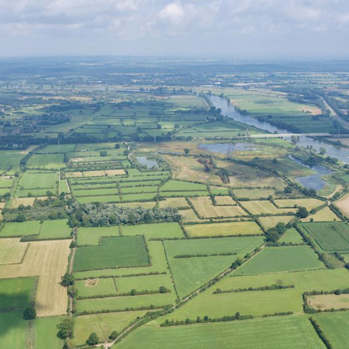 Nederland draagt Maasheggen voor als inzending voor European Landscape Award 2026