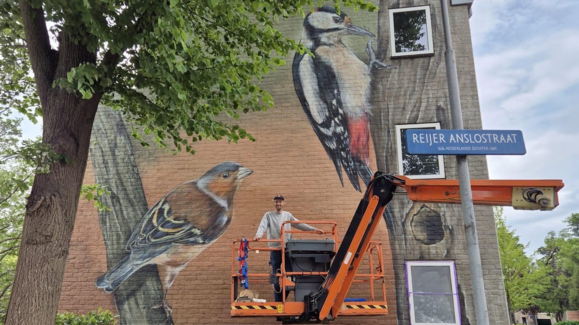 Metershoge vogelmuurschilderingen sieren Haarlem
