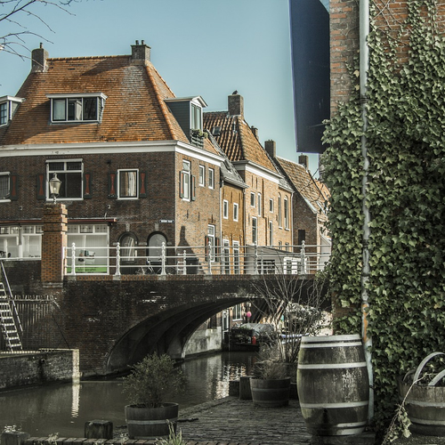 Afbeelding van Natuurmonumenten: buurtbewoners zien natuur achteruitgaan, wil om tuin te vergroenen
