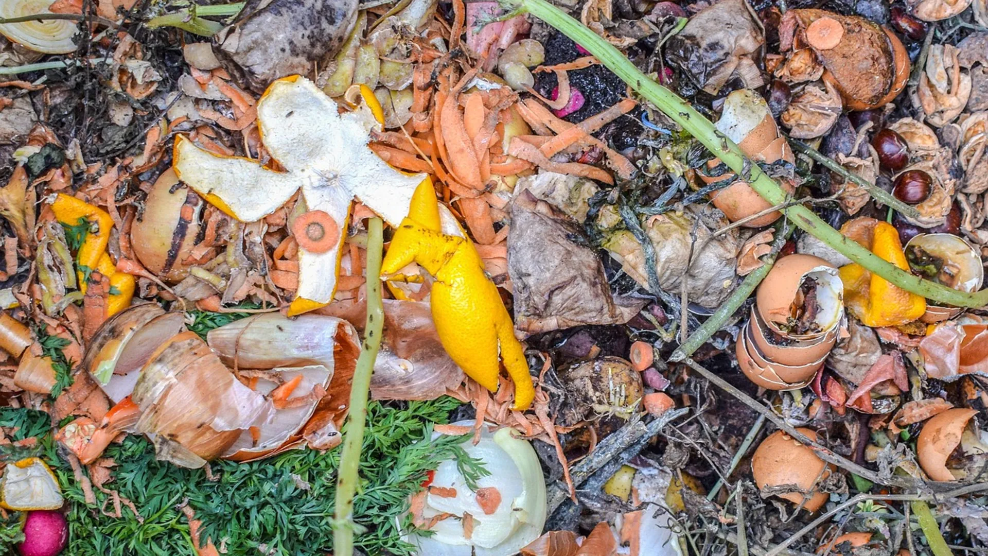 compost afval voedselverspilling