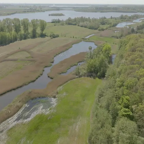 Afbeelding van Braakman in Zeeland: van zeekreek naar natuurgebied