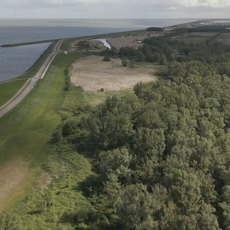 Afbeelding van TV | 14 juni 2026 | Oostvaardersdijk