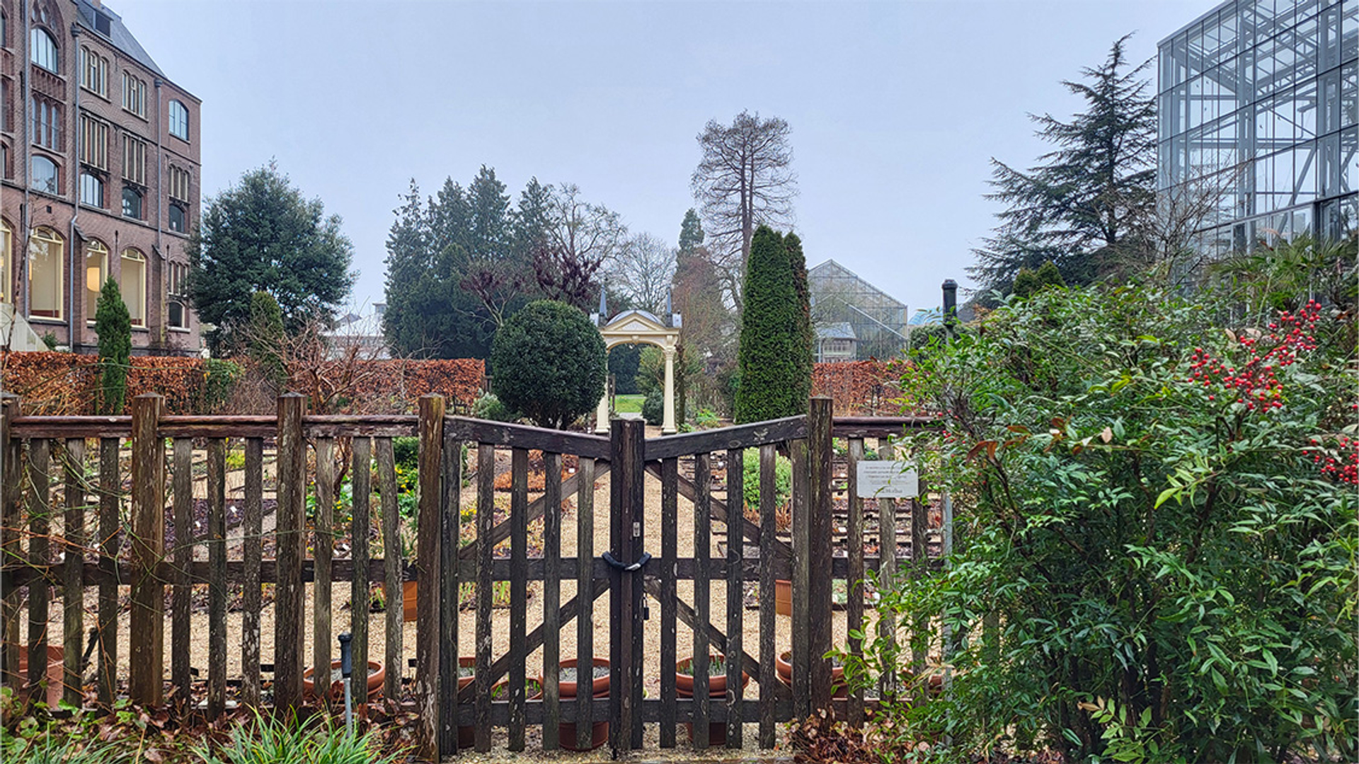 Clusiustuin in Leiden