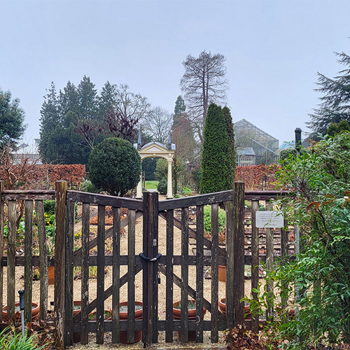 Afbeelding van Hortus Botanicus Leiden viert 500 jaar Carolus Clusius