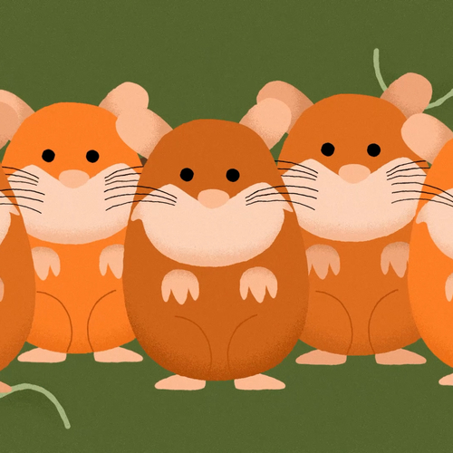 De scheet van een dino | Podcast Zo klonk Nederland