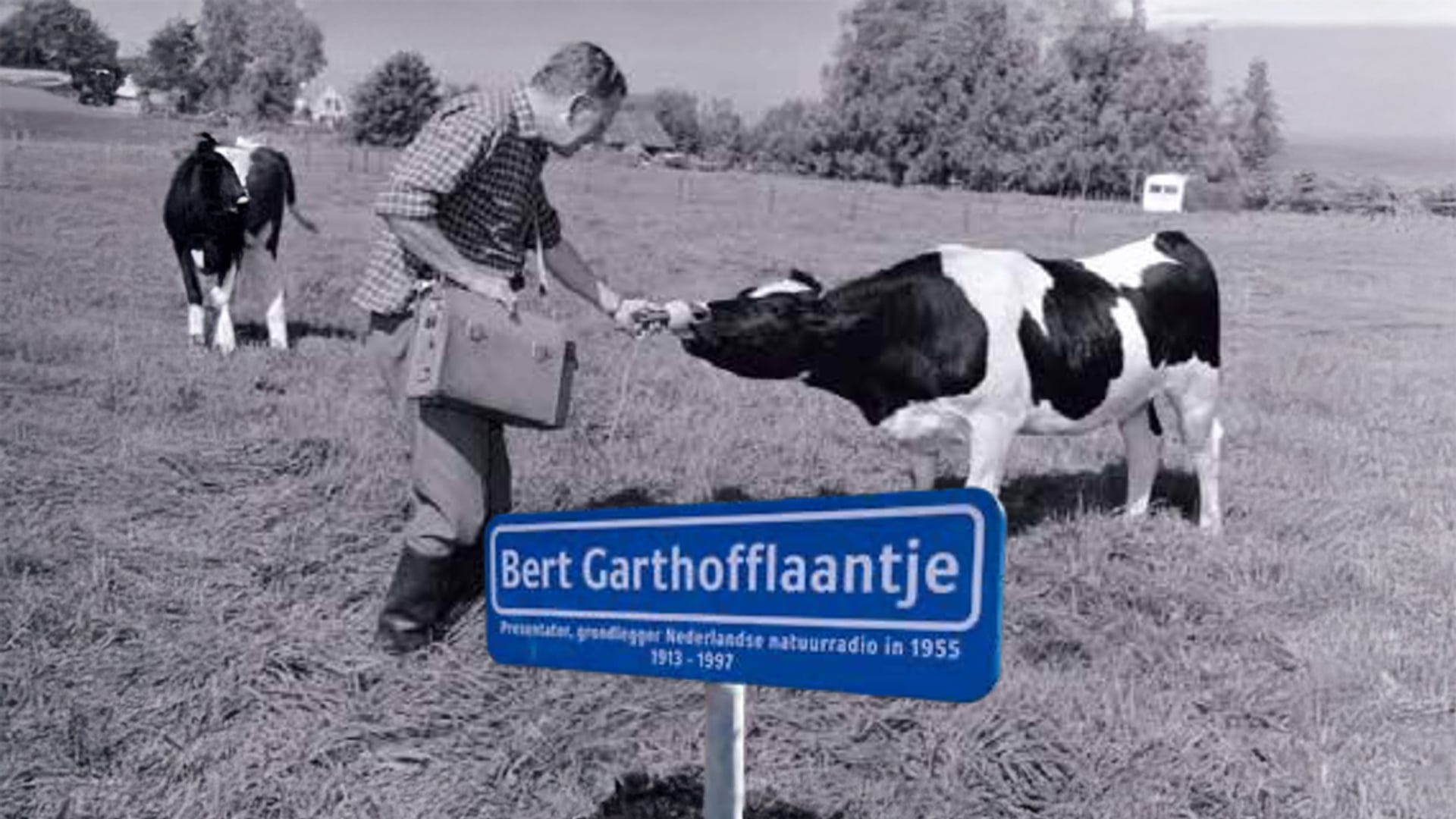 Op pad met Menno Bentveld: Laantje