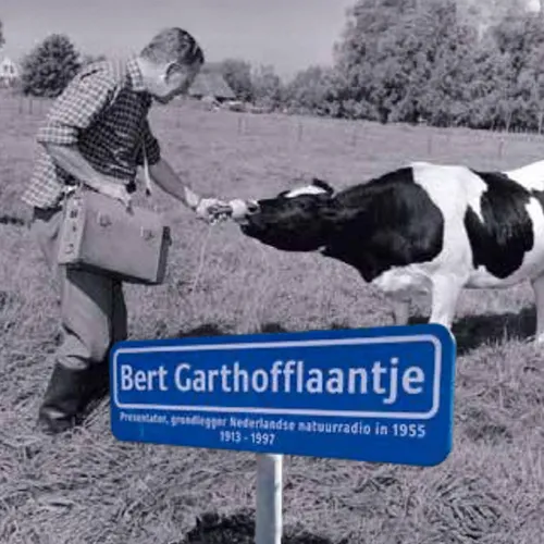 Op pad met Menno Bentveld: Laantje