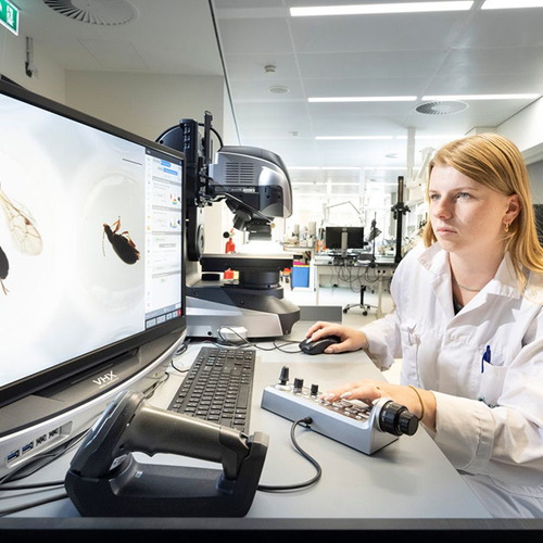 Alle Nederlandse soorten herkennen met ARISE