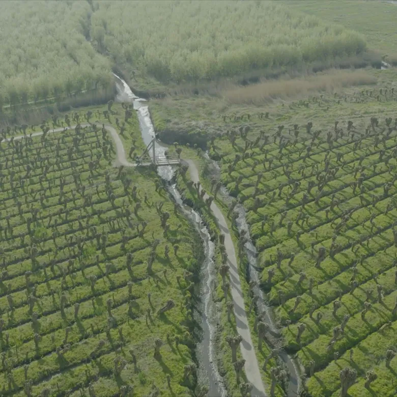 Afbeelding van TV | 24 mei 2026 | Grienden van de Oude Maas