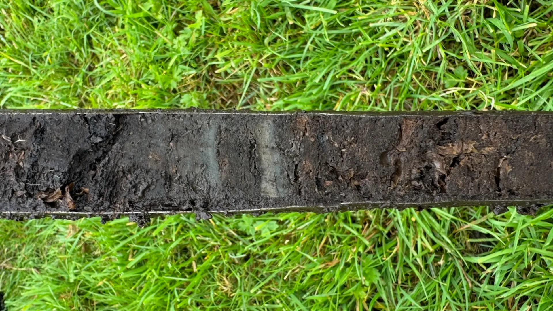 veenprofiel uit een polder bij Spaarnwoude