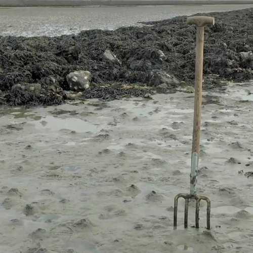 Oplossing voor zandhonger in de Oosterschelde