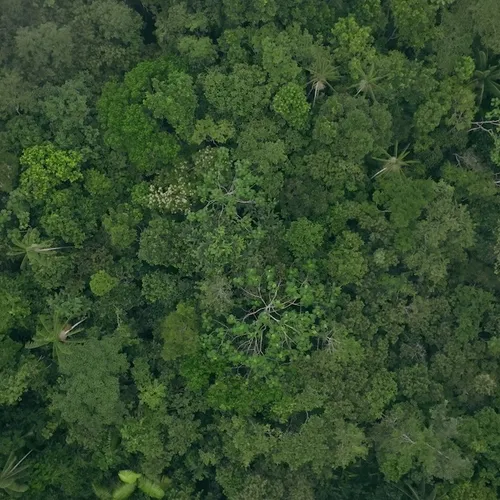 Afbeelding van Milieudefensie mag klimaatzaak tegen ING doorzetten van rechtbank