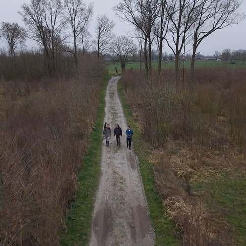 Afbeelding van Geen bos zoals het Zalkerbos