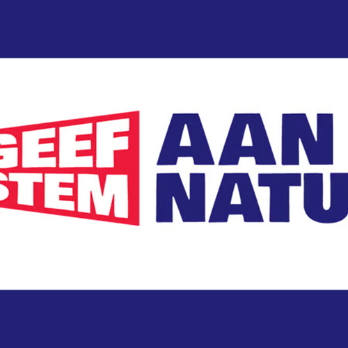 Afbeelding van Boswachters op verkiezingscampagne in zes grote steden