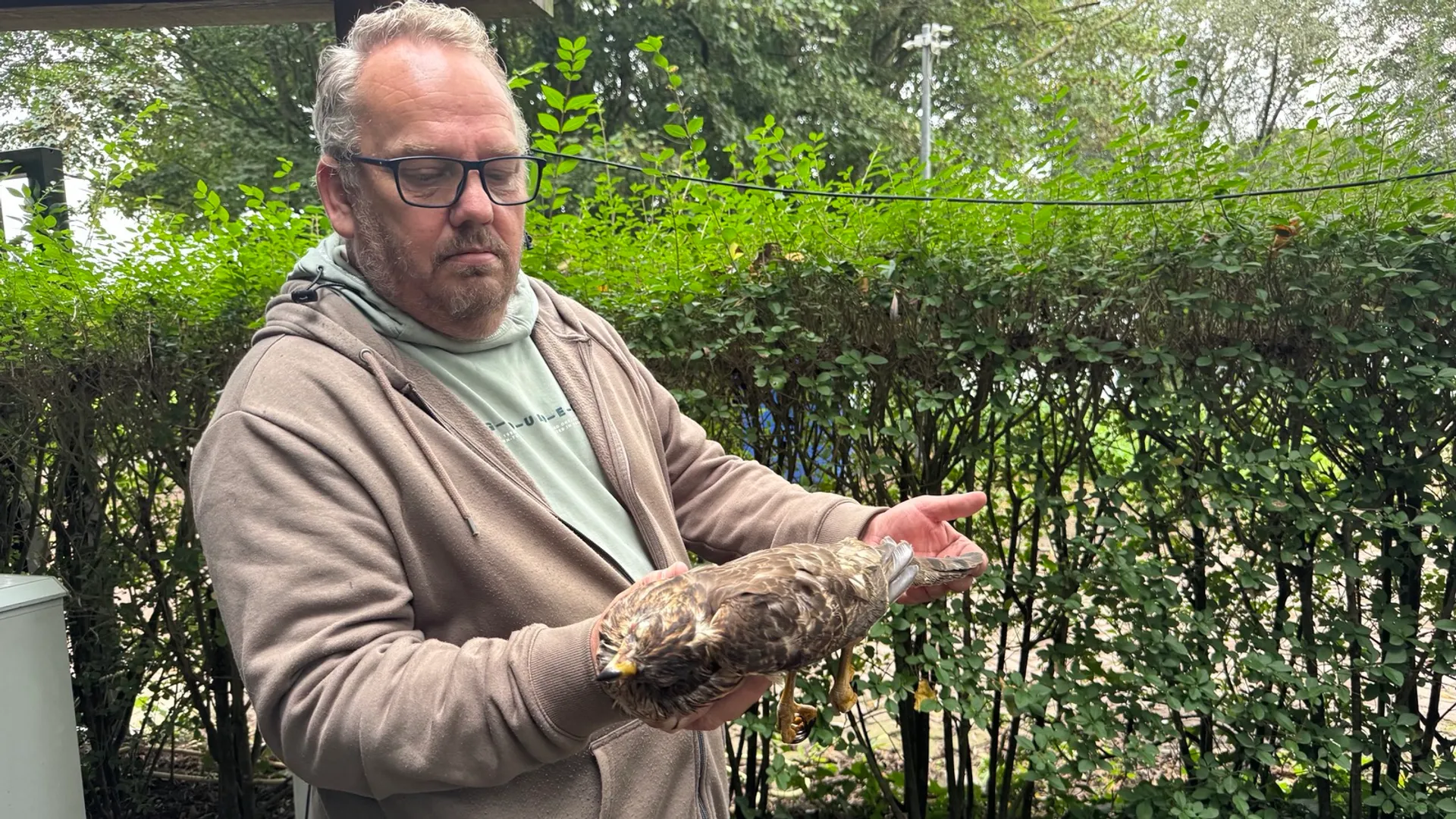 Erik Bruining, Vogelopvang Midden-Nederland