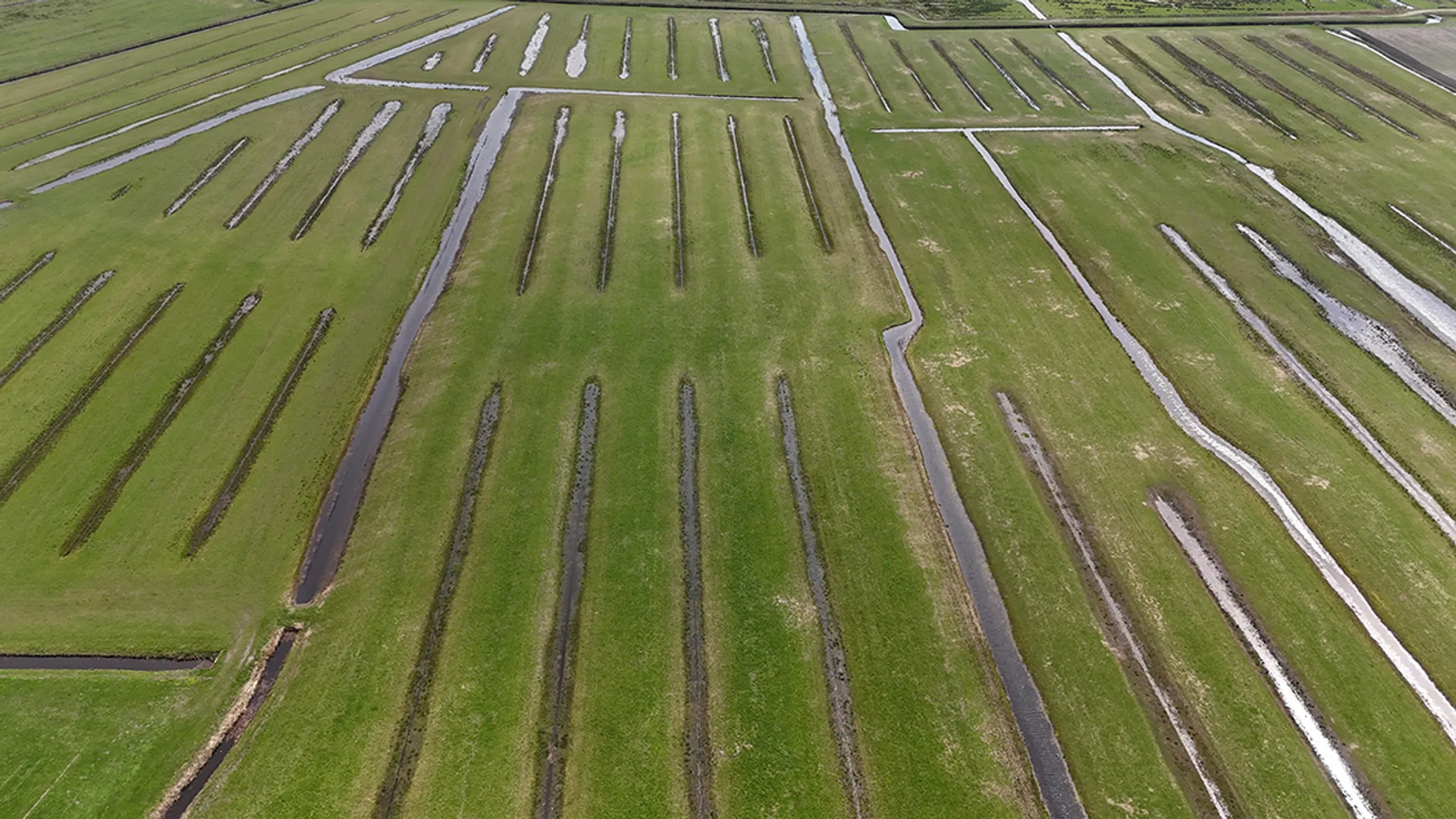 greppellandschap greppel sloten sloot